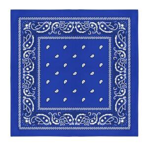 Blue Paisley Square Bandana
